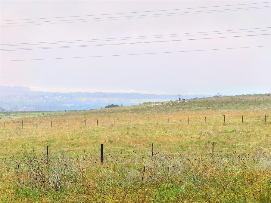 0 Bedroom Property for Sale in Kabeljauws Eastern Cape